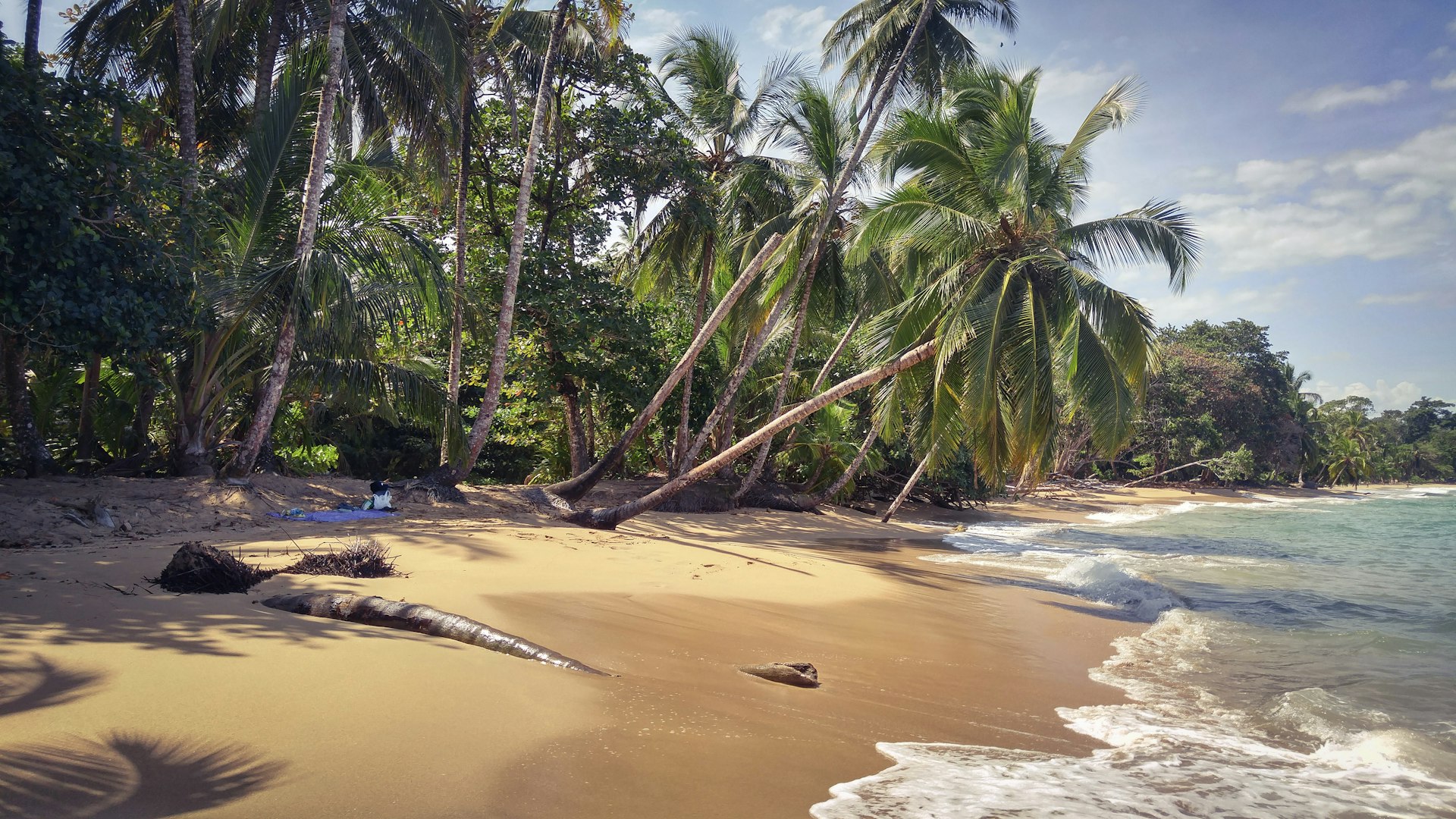 Lush view of Playa Punta Uva on Costa Rica's Caribbean coast in Limon Province